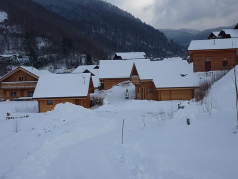 Le Planot Chalet in La Bresse