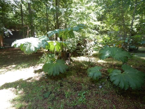 Entre Hualles y Pellines Nature lodge in Pucon