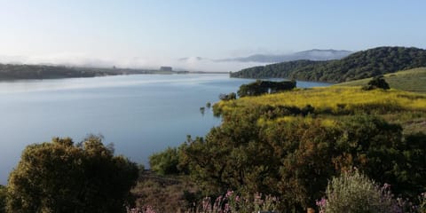 Las Lomillas Reserva Ecológica Country House in La Janda