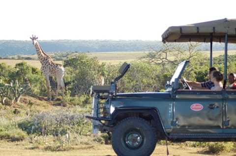 Temba Private Game Reserve Natur-Lodge in Eastern Cape