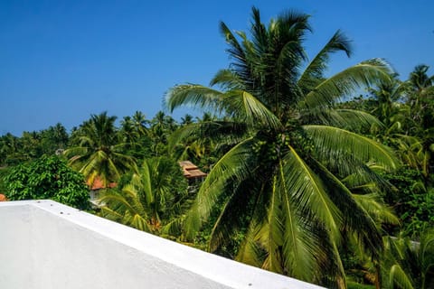 Day, Neighbourhood, Natural landscape, Garden view