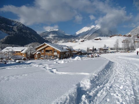 Property building, Skiing, Animals, Pets, Mountain view