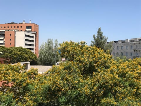 Nearby landmark, Neighbourhood, Photo of the whole room