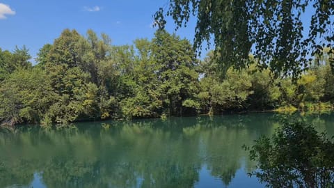 Spring, Day, Neighbourhood, Natural landscape