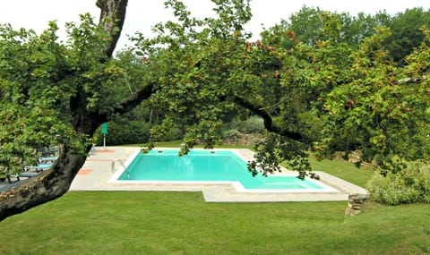 Garden, Swimming pool