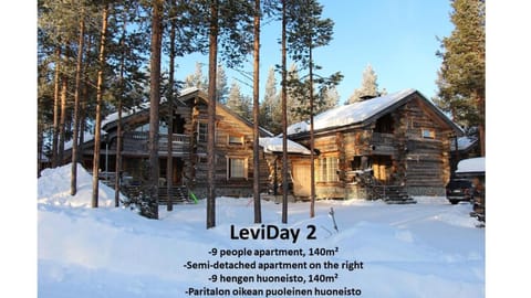 LeviDay 1&2 Chalet in Lapland