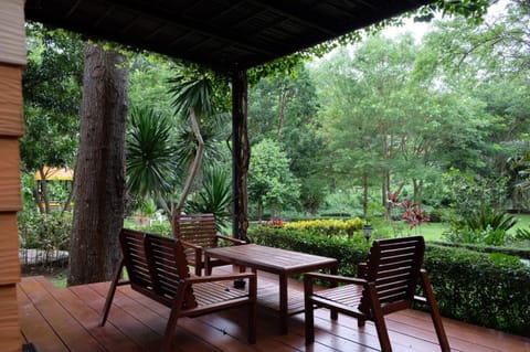 Garden, Balcony/Terrace