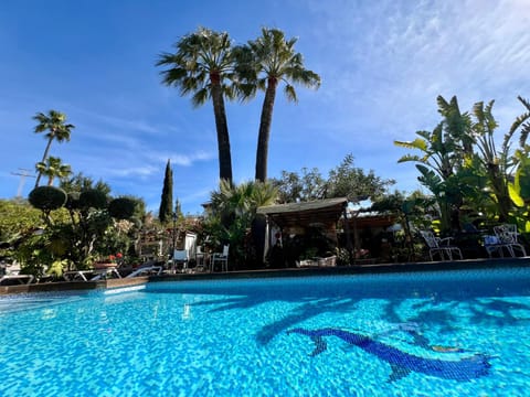 Spring, Garden, Garden view, Pool view, Swimming pool, sunbed