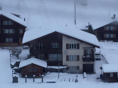 Chalet Wildbach Wohnung in Adelboden