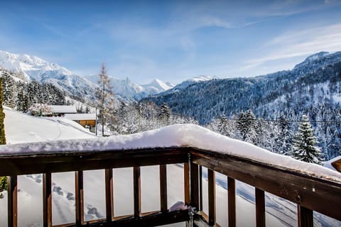Chalet Les Houlottes - OVO Network Chalet in Manigod
