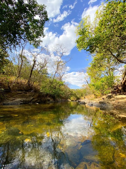 Natural landscape, River view