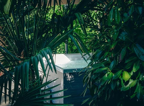 Garden, Spa and wellness centre/facilities, Swimming pool