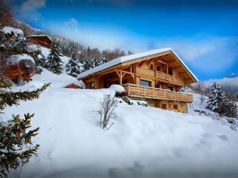 Property building, Facade/entrance, Day, Natural landscape, Winter