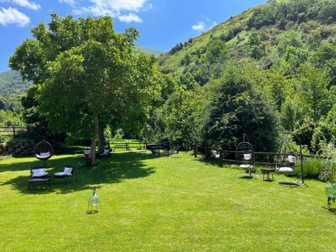 Garden, Garden view, Garden view