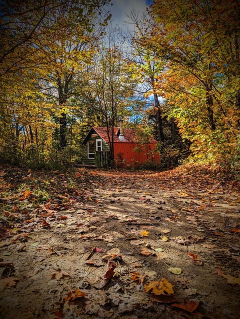 View (from property/room), Autumn