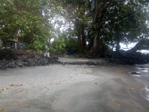 Natural landscape, Beach