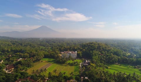 Bird's eye view, Garden, View (from property/room), Landmark view, Mountain view, Area and facilities