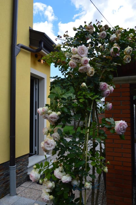 Apartment Kancler Apartment in Friuli-Venezia Giulia