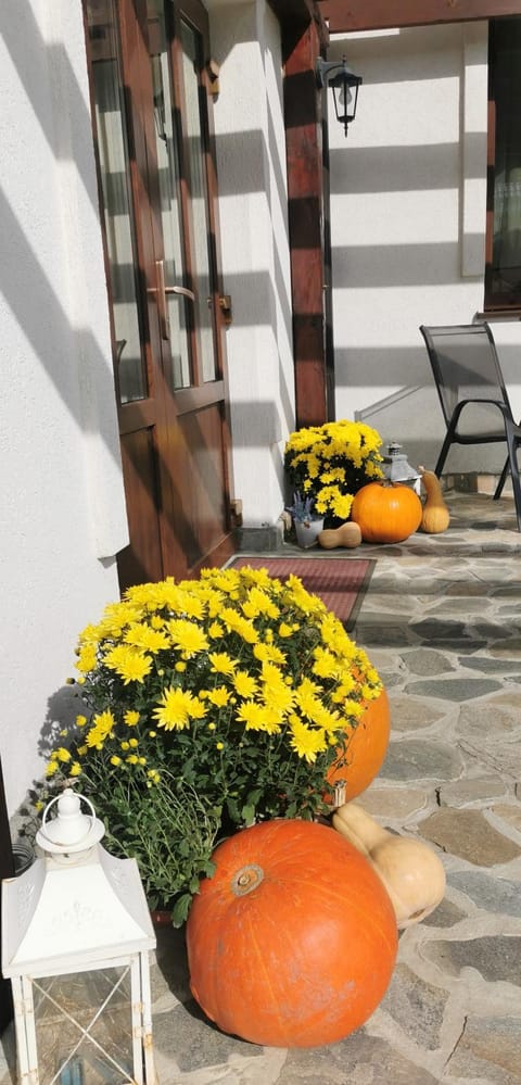 Casa Stefu Pensão in Brașov County