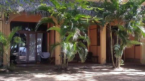 Hotel La Palapa Hôtel in Tamarindo