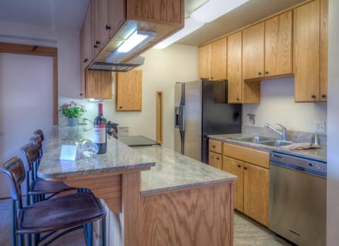 Bear Claw 202 - Ski-in Ski-out Condo! Apartment in Steamboat Springs