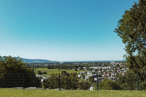 Garden, On site, Garden view, Mountain view