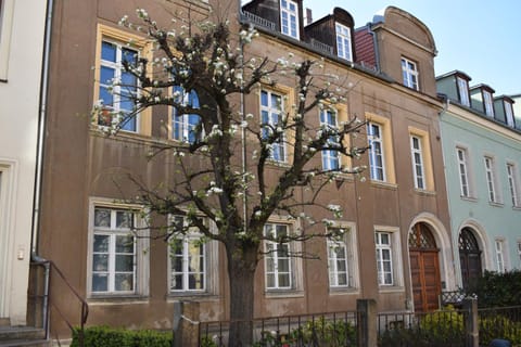 Facade/entrance, Spring