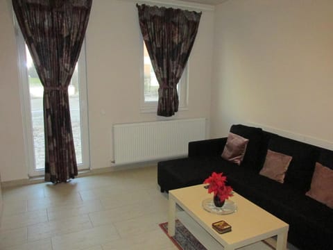 Library, Living room, Photo of the whole room, Decorative detail, Decorative detail