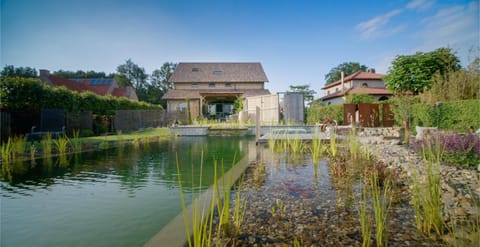 Garden, Swimming pool