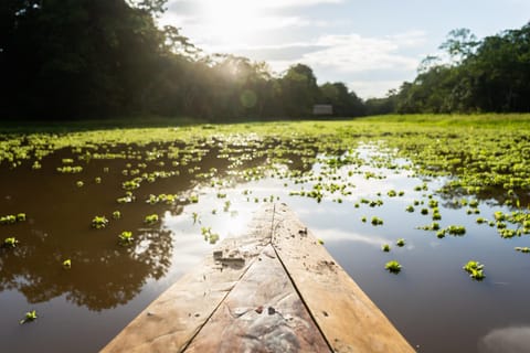 Amak Iquitos Ecolodge - All Inclusive Capanno nella natura in State of Amazonas