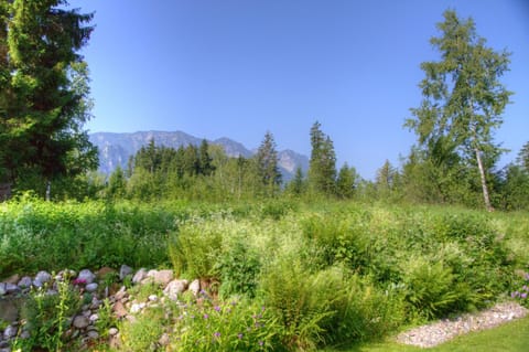 Garden view, Mountain view