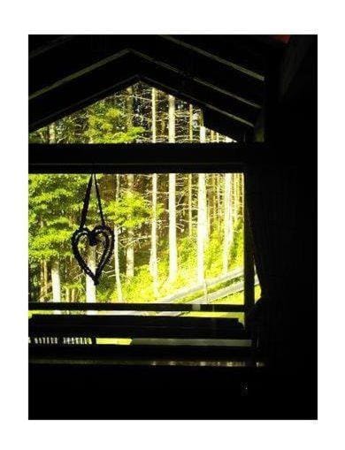 Haus-Bucheneck-Wohnung-Sonnenaufgang Apartment in Oberstdorf