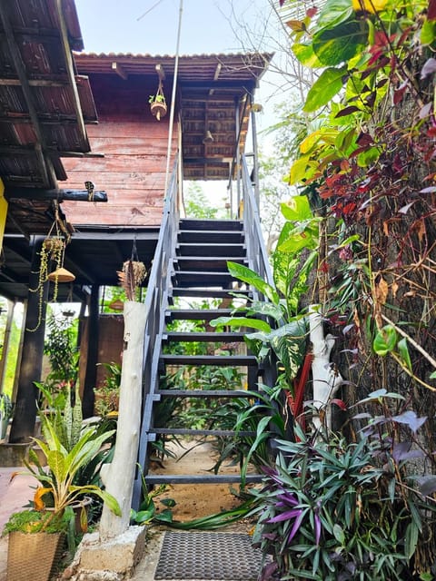 Property building, Garden, Garden view