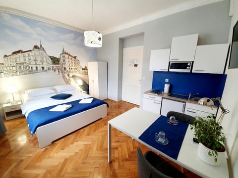 B&B Vila Teslova Bed and Breakfast in Ljubljana