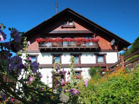 Property building, Balcony/Terrace