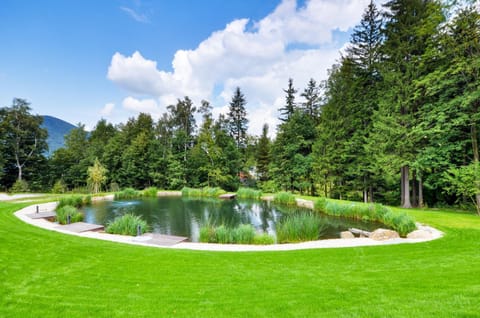 Natural landscape, Garden, Lake view