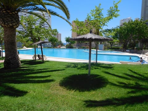 Garden, Swimming pool