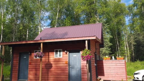 DFA Cabin Rentals Nature lodge in Talkeetna