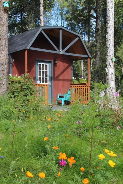 DFA Cabin Rentals Nature lodge in Talkeetna