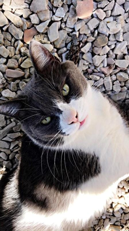 Lapauline FR5BZEVA House in French Riviera