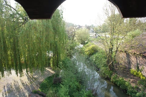 Bird's eye view, Garden view