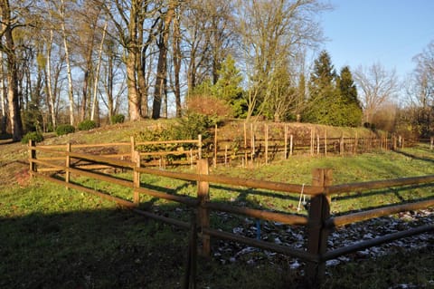 BBQ facilities, Garden, Garden view