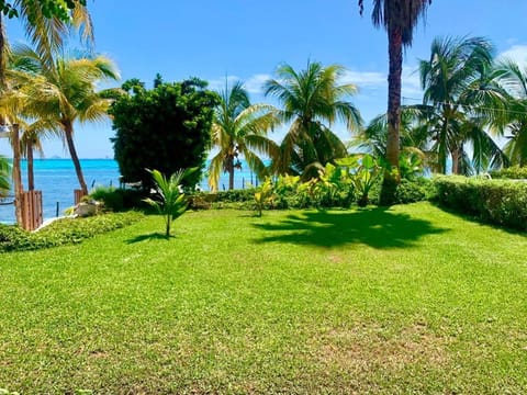 Garden, Garden view