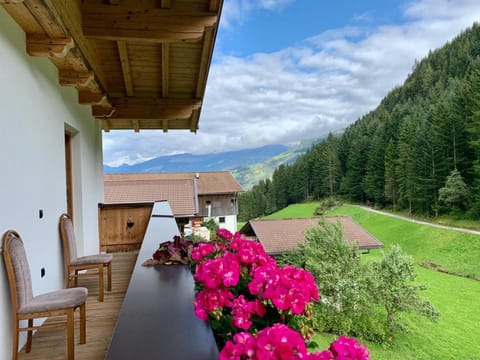 Balcony/Terrace, Garden view