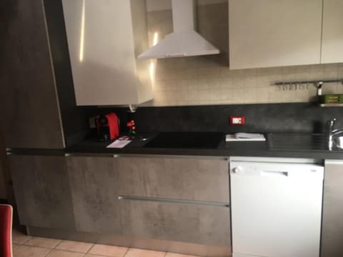 Kitchen or kitchenette, dishwasher, minibar, stove