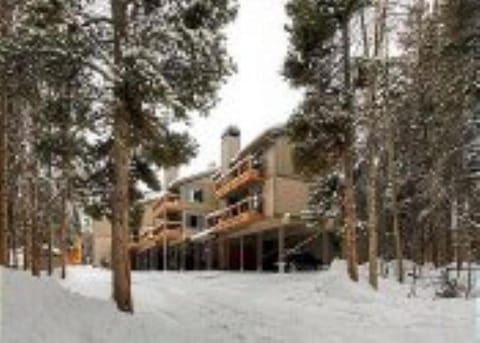 Timbernest B7 House in Breckenridge