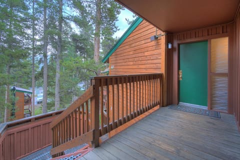 Peak 8 Village E40 House in Breckenridge