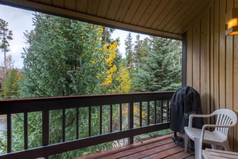 Atrium 304 House in Breckenridge