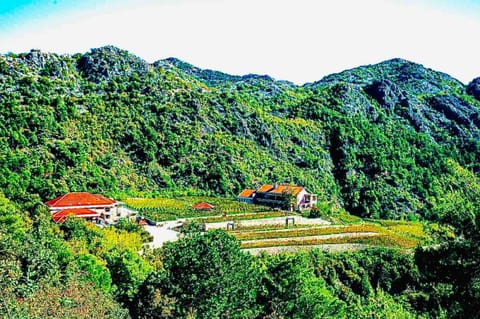 Neighbourhood, Natural landscape, Mountain view