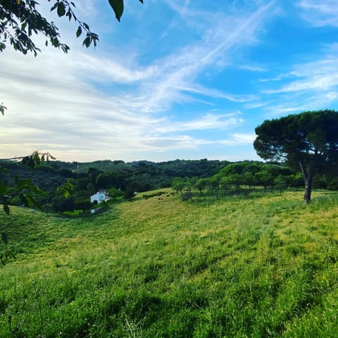 Natural landscape, View (from property/room), Hiking, Mountain view